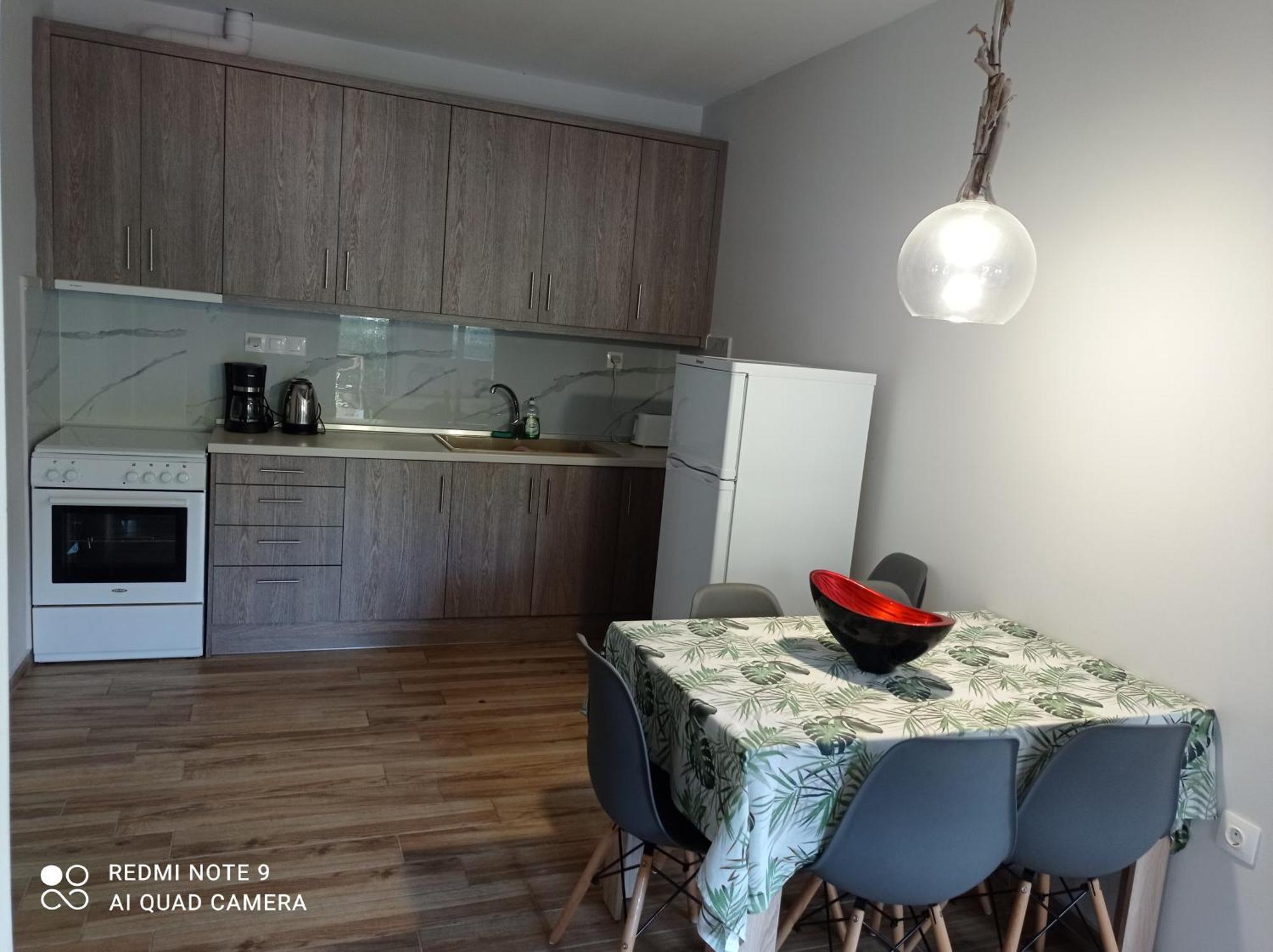 Апартаменти Fotini'S House Неа-Скіоні Екстер'єр фото